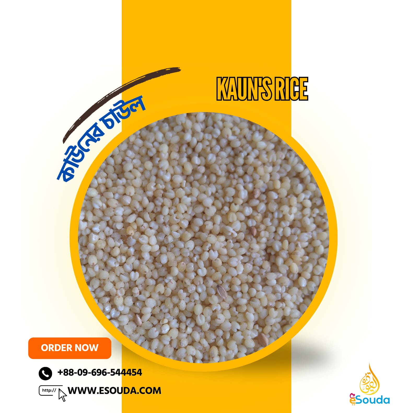 WhatsApp Image 2024-04-20 at 1.27.07 PM